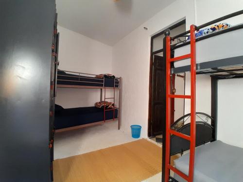 a room with bunk beds and a ladder at Arch Guesthouse - Dorm for Budget Travelers in Tangier in Tangier