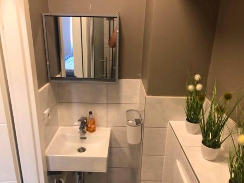PellingenApartment in Pellingen near Trier & Nature Park的浴室里有洗手池和镜子