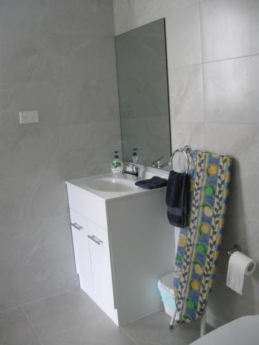 ein Badezimmer mit Waschbecken und Spiegel in der Unterkunft Delegate Studio Cabin in Delegate