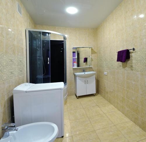 オムスクにあるOmsk Sutki Apartment on Tupolevaのバスルーム(トイレ、シャワー、シンク付)