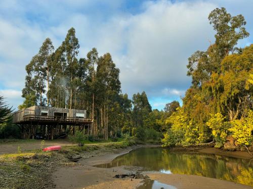 una casa en el árbol en un puente sobre un río en House in the Maule River Bay, en Constitución