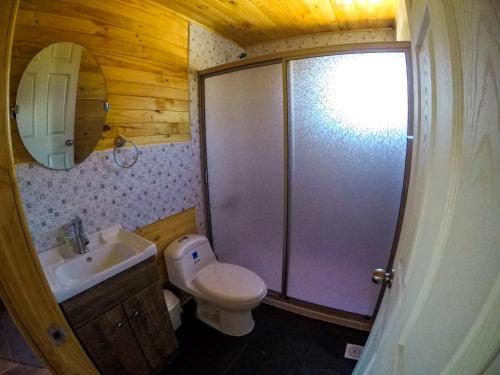 une salle de bains avec douche, toilettes et lavabo dans l'établissement Cabañas Aguapiedras, à Linares