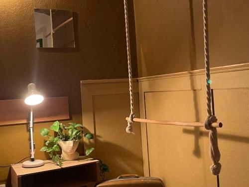 eine Schaukel in einem Zimmer mit einer Lampe und einer Pflanze in der Unterkunft Botanique Concept House Guanajuato Centro in Guanajuato