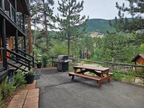 een picknicktafel en een grill voor een huis bij Cabin16 - King Bed Kitchenette & Bath in Estes Park