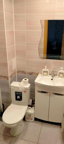a bathroom with a toilet and a sink at Рахмет in Petropavlovsk