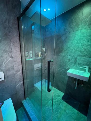 une salle de bain avec une douche en verre et un lavabo dans l'établissement Zeitlberg Panoramawohnung mit PRIVAT SPA, à Zeitlarn