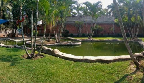 Zahrada ubytování Habitación Terraza 1