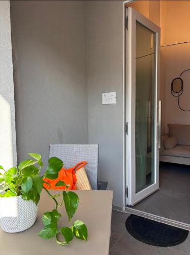 een plant die op een tafel in een kamer staat bij NALI Apartment 2 in Civitanova Marche