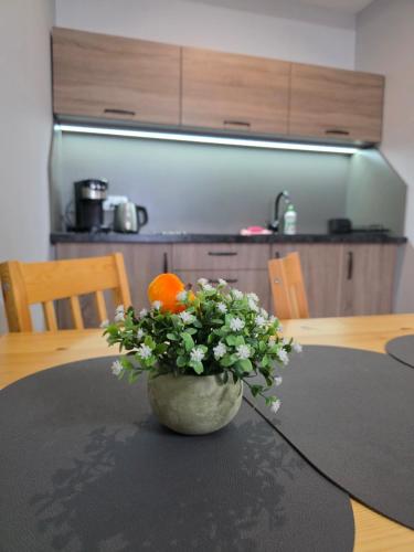 Kuchyň nebo kuchyňský kout v ubytování ApartHotel11