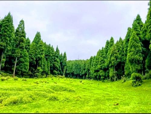 Galeriebild der Unterkunft Lama homestay in Darjeeling