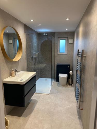 a bathroom with a shower and a sink and a toilet at Cherry Tree in Oxford