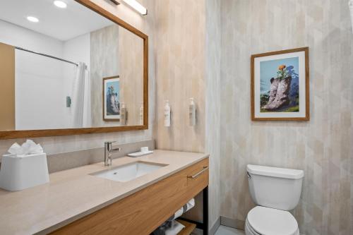 une salle de bain avec un lavabo, des toilettes et un miroir dans l'établissement Hampton Inn and Suites Waxahachie, à Waxahachie