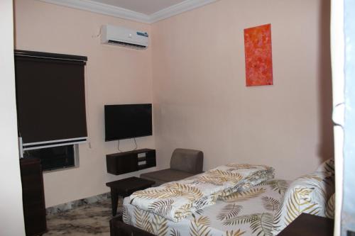 a living room with a bed and a tv at Folks Apartment in Mama