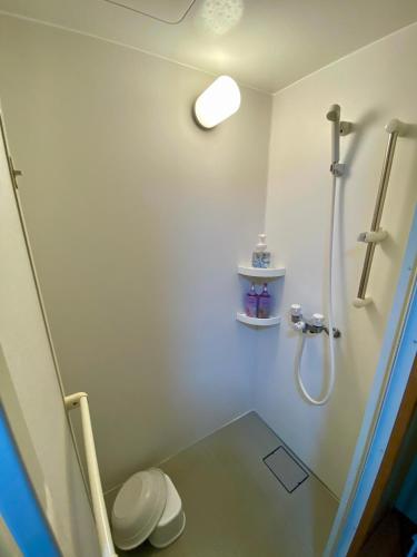 a bathroom with a shower and a toilet at Wakihonjin in Kikugawa