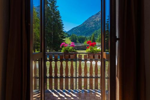 Φωτογραφία από το άλμπουμ του Hotel Camping Grivola σε Valsavarenche