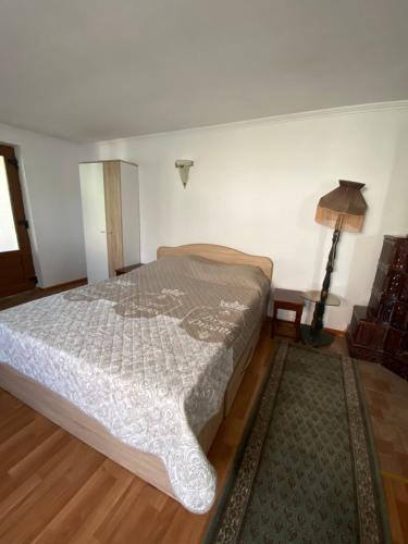 una camera da letto con un letto, una lampada e un tappeto di Viki house a Hurez
