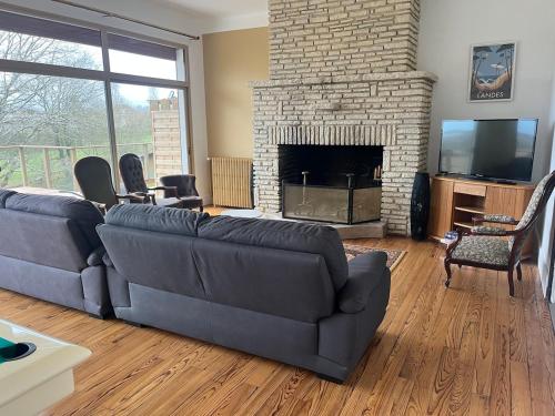 un salon avec un canapé et une cheminée dans l'établissement Gîte de Monplaisir, Pomarez, à Pomarez