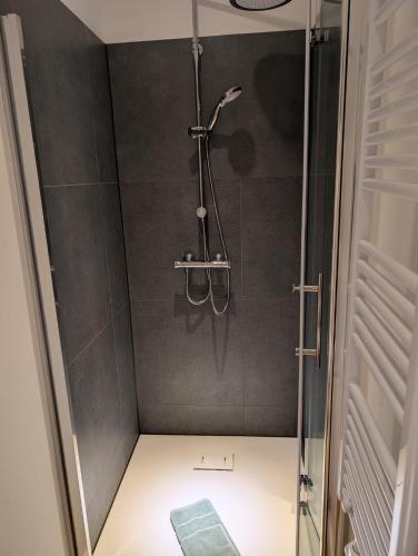 a shower with a glass door in a bathroom at Stadtnah an der Förde 5704 in Flensburg