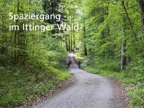 Příroda nedaleko hotelu