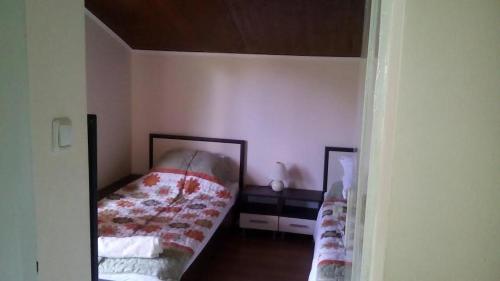 1 dormitorio con cama y espejo en Guest rooms Voneshcha Voda, en Voneshta Voda
