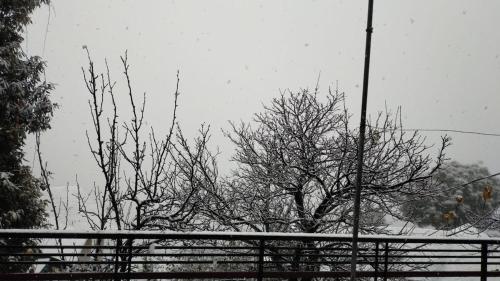 Bonfire, Barbecue, Snow, Private 2BHK Barog near Solan om vinteren