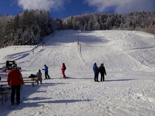 Un grupo de personas esquiando por una pendiente cubierta de nieve en Pension Wald, en Faistenau