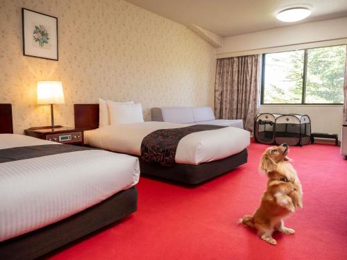 a dog sitting in a hotel room with two beds at Mercure Urabandai Resort & Spa in Kitashiobara