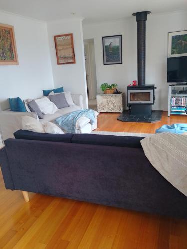 a living room with a couch and a fireplace at The Cove in Huon Island