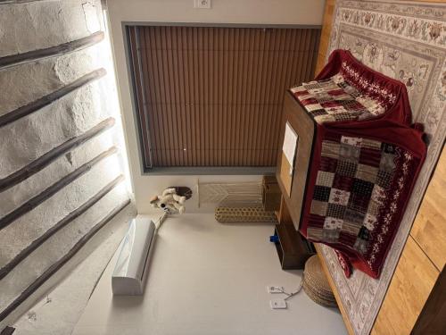 un perro de pie junto a una cama en una habitación en Damyang Hwayang, en Damyang
