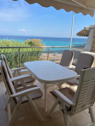 Beachfront Bliss Polychrono