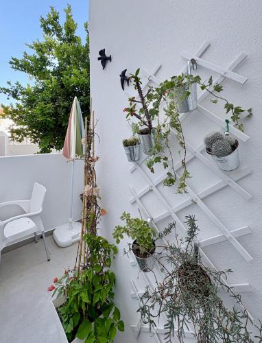 Casa Maria Laura - Cute apartment in city center