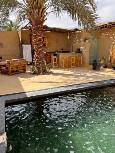 a house with a palm tree and a swimming pool at Siwa Oracle Hostel in Siwa