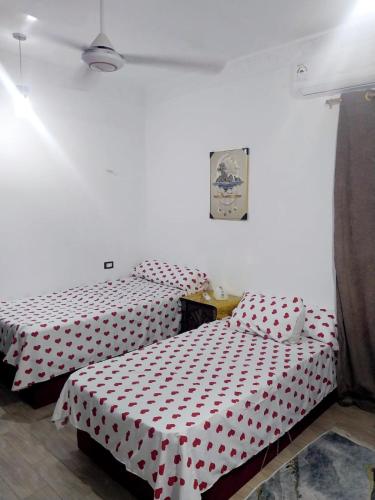 Economy Onebedroom Apartment Hurghada