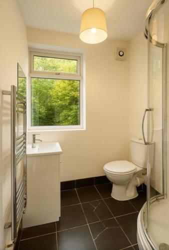 a bathroom with a toilet and a sink and a window at The Cozy House Luton in Luton