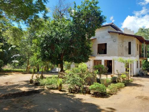 坦加拉Silent Peacock Villa And Restaurant的前面有一棵树的老房子