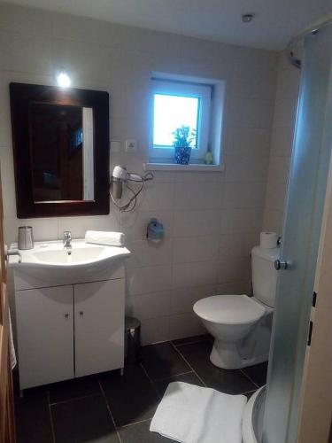 a bathroom with a sink and a toilet and a window at Wellness chata BABÍ VRCH in Trojanovice