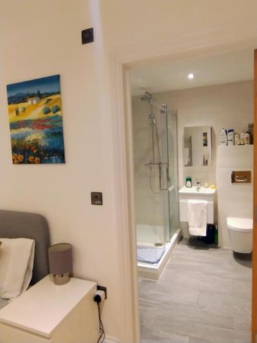 a bathroom with a shower and a sink at Fantastic location private Deluxe Ensuite bathroom Shoreditch Hoxton spitalfields Liverpool st London Bridge city 2 Rooms luxury Doubles for 5 guests in London