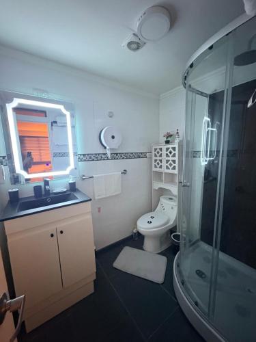 a bathroom with a shower and a sink and a toilet at Habitacion Deluxe, Wi-Fi, desayuno gratis y a minutos del crucero! in San Antonio