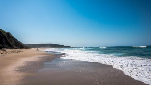 ein Strand mit dem Meer und ein paar Leuten darauf in der Unterkunft The Sanctuary at Catherine Hill Bay in Catherine Hill Bay