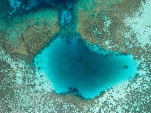 Příroda nedaleko rezortu