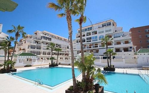 Un gran edificio de apartamentos con piscina y palmeras. en Het Verwende Nest, en La Mata