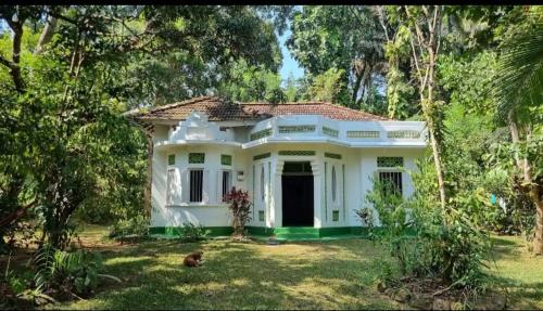 ein weißes Haus mit einem Hund davor in der Unterkunft Brenley B Bungalow in Talalla
