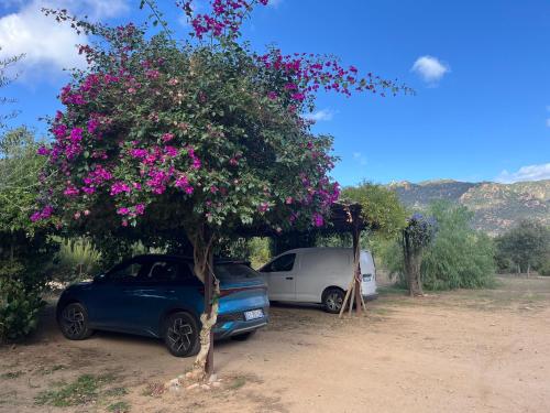 Φυσικό τοπίο κοντά σε αυτό το bed & breakfast