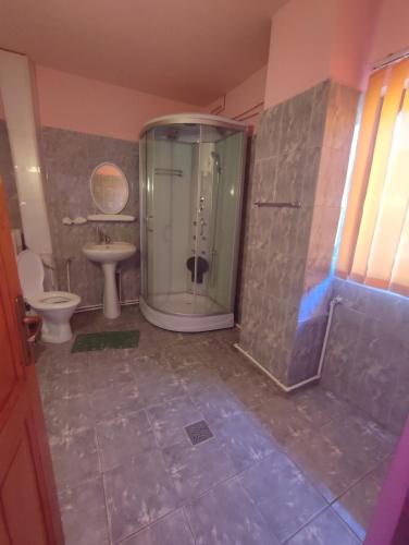 a bathroom with a shower and a toilet at Edelweis Floare de Colt in Borsec
