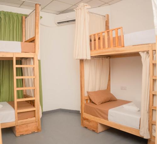ein Zimmer mit zwei Etagenbetten und einer Leiter in der Unterkunft Soluna Hostel in Ahangama