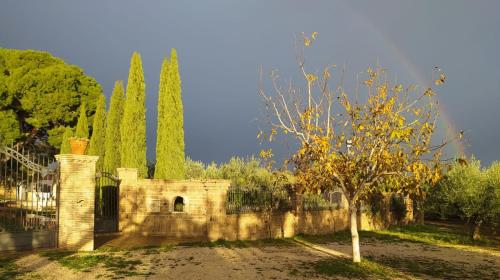 a stone wall with a gate and a tree at Le Tre Lune B&B in Lucera