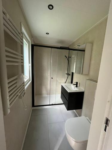 a bathroom with a toilet and a sink at Chalet Aazicht Drenthe met Hottub in Zeyen