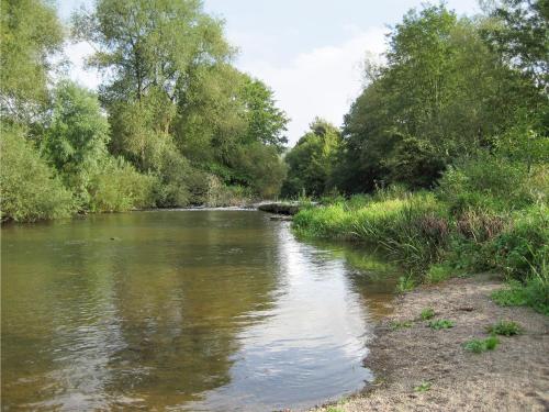 Un río con árboles a sus orillas en The Mill, en Lindridge