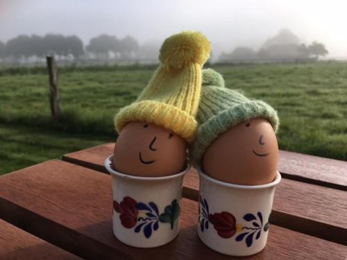 two eggs wearing hats sitting in cups on a table at Erve Dikkeboer in Bathmen