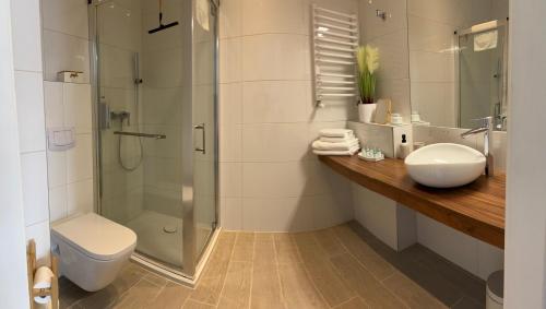 une salle de bains avec douche, toilettes et lavabo dans l'établissement Apartament Czarna Góra - Stubai 41, à Sienna
